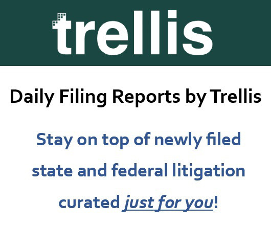 Stay On Top of Newly Filed State & Federal Litigation: Curated Just for You!